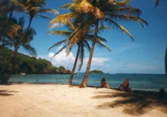 Springbay