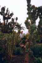Botanischer Garten