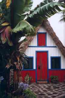 Samana