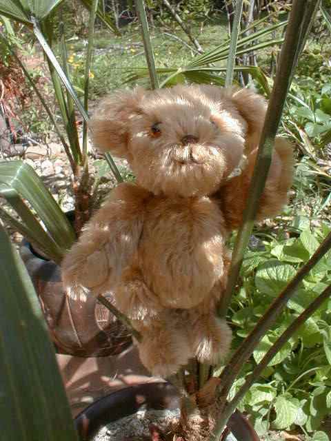 Dickie