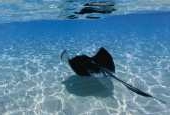 Cuba - Cayo Largo