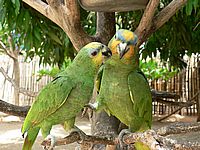 Ausflug in den Tropical Irrgarten