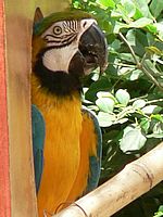 Ausflug in den Tropical Irrgarten