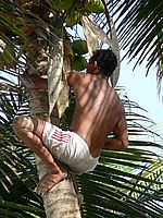 Playa El Agua